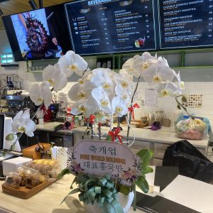 Hoa hội nghị đẹp HN-01