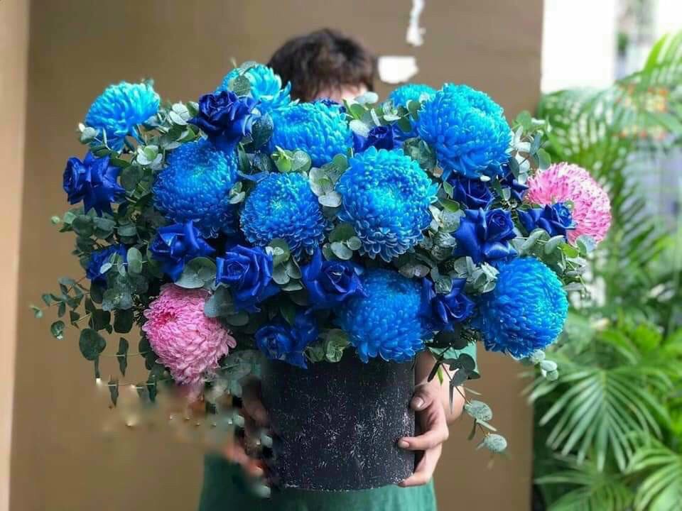 Túi hoa đẹp - 05 - Hoa tươi Violet Diêu Trì